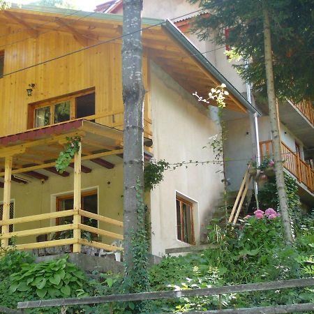 Mountain Sun Guest House チフリク エクステリア 写真