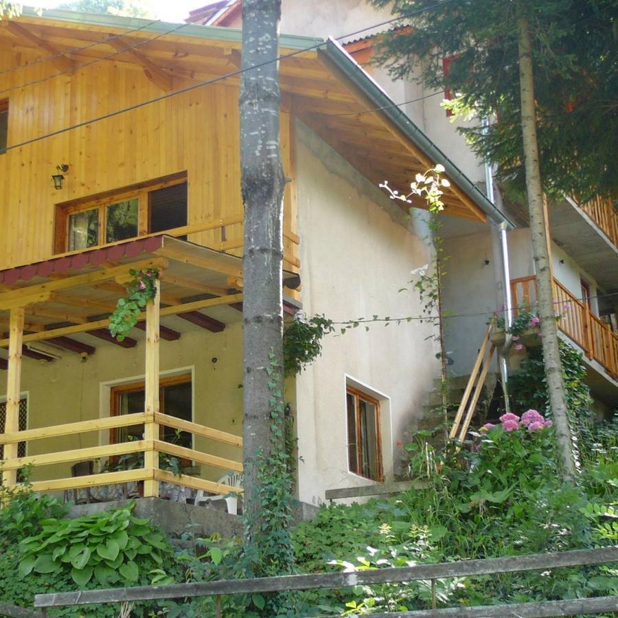 Mountain Sun Guest House チフリク エクステリア 写真